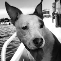 Original reference photo