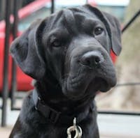 Original reference photo