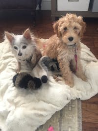 Original reference photo