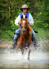 Original reference photo