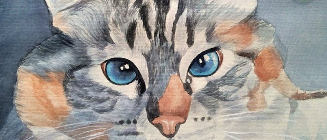 Watercolor portrait painting of a cat in the style of Udnie, Young American Girl by Francis Picabia