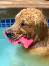 Original reference photo