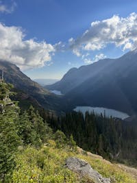 Original reference photo