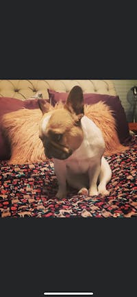 Original reference photo