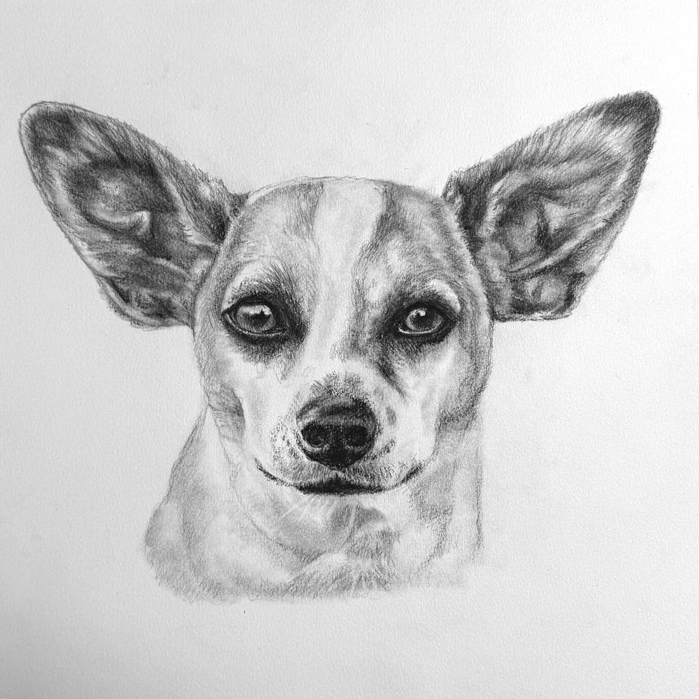 Artist-Rendered Painting