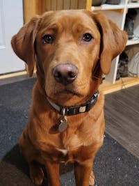 Original reference photo