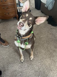 Original reference photo