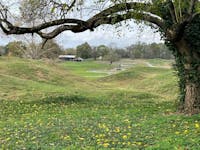 Original reference photo