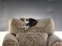 Original reference photo